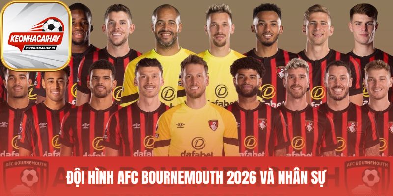 Đội hình AFC Bournemouth chịu ảnh hưởng lớn từ bão chấn thương