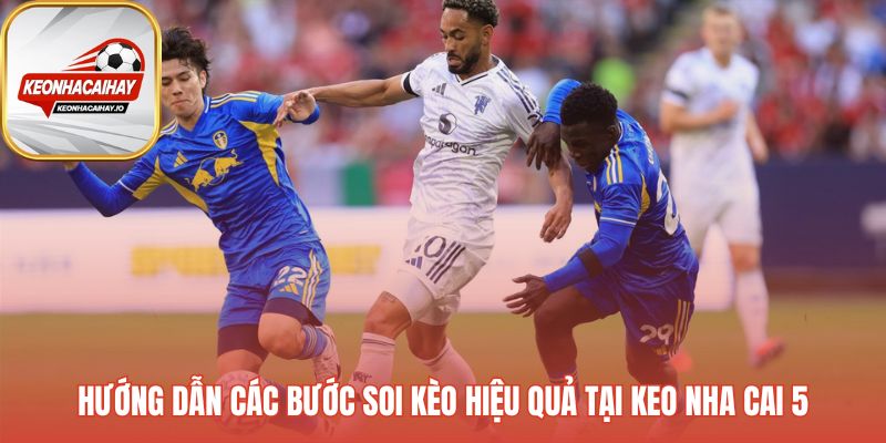 Các bước tham gia vào việc soi hiệu quả