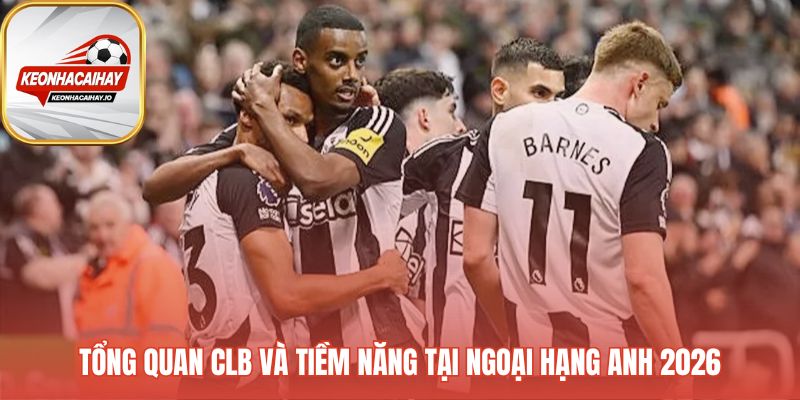 Cuộc khủng hoảng chấn thương cản bước Newcastle United