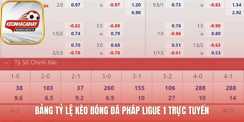 Bảng tỷ lệ kèo cập nhật trực tiếp mọi biến động thị trường