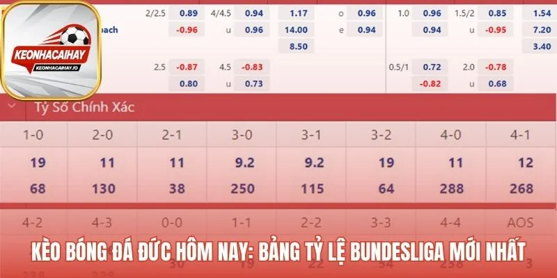 Kèo bóng đá Đức hôm nay phản ánh qua bảng tỷ lệ trực tiếp